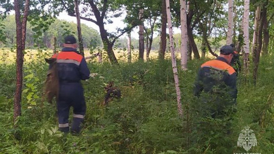     В район имени Лазо и Амурский район были направлены две группы спасателей для проведения поисковых операций в связи с пропажей людей.