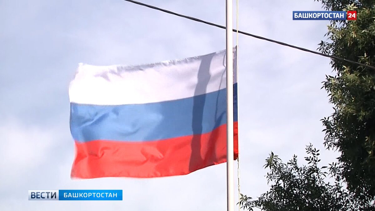    Владимир Путин поздравил россиян с Днем государственного флага