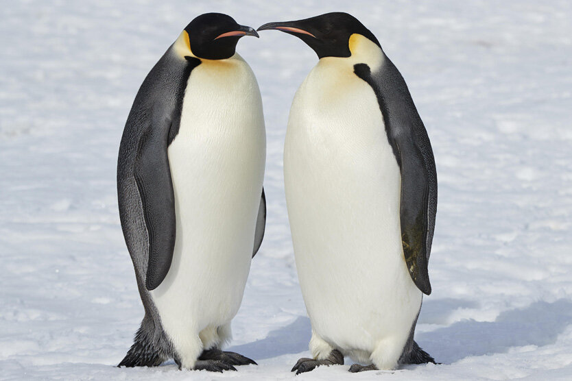 Фото: Wolfgang Jakel / imageBROKER / Globallookpress