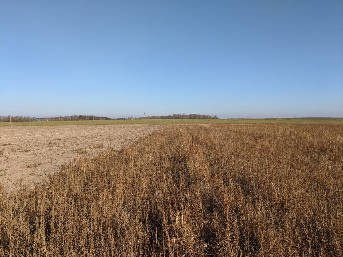 Бескрайнее поле, где нужно найти точку. 