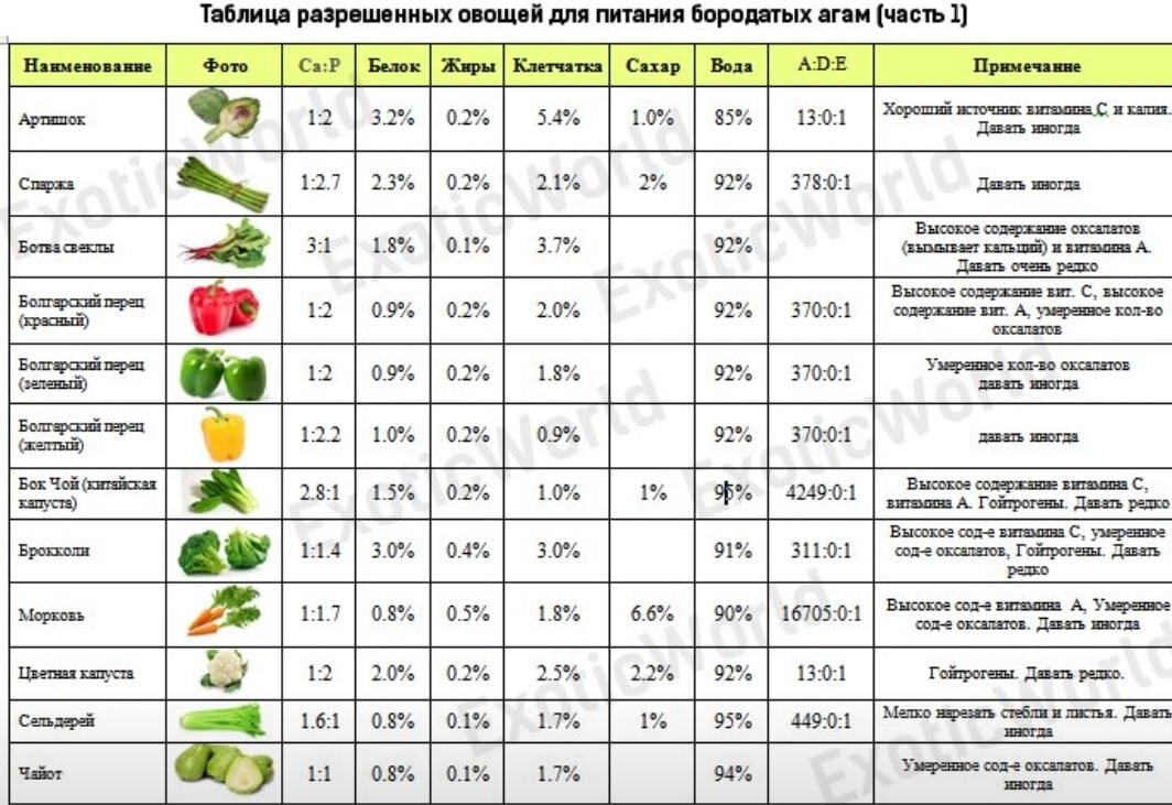 Овощи в 8 месяцев. Таблица овощей и фруктов. Таблица разрешенных продуктов питания для бородатых агам. Рацион бородатой агамы таблица. Рацион бородатых агам.