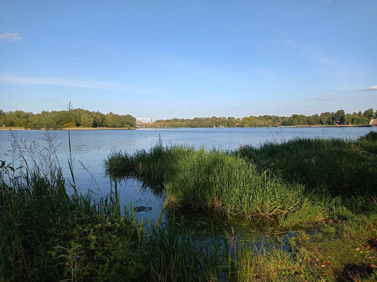 Котовский залив Клязьминского водохранилища. Долгопрудный, Московская область. Фото автора статьи (листайте галерею, ещё 4 фото)