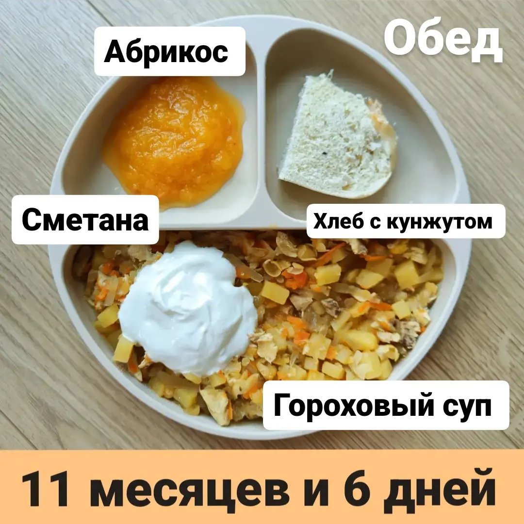 Пример тарелки в 11 месяцев 
