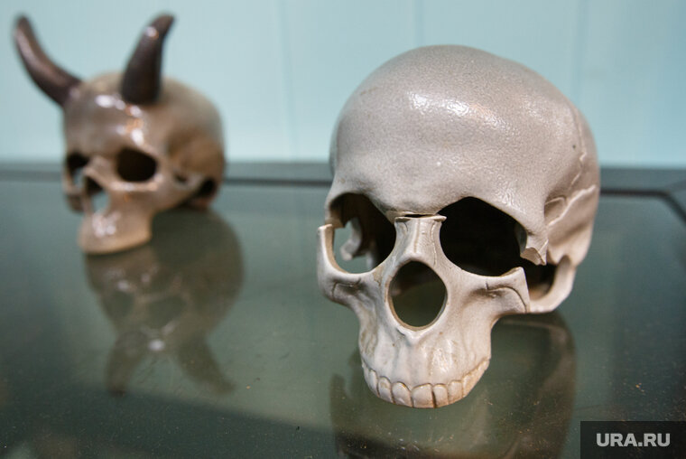    В лесу за Введенским нашли постройку с черепами животных (архивное фото)