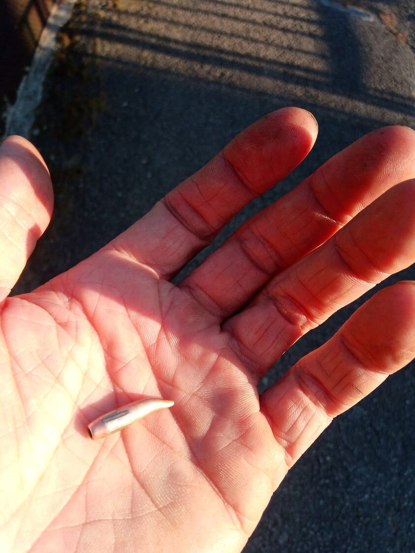 Фото из соцсетей