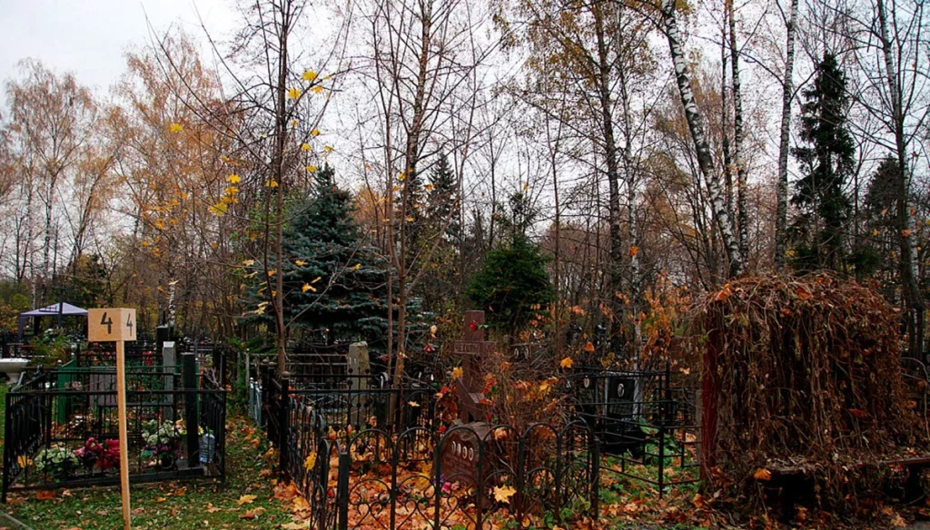 Фотография взята из источника yandex.ru