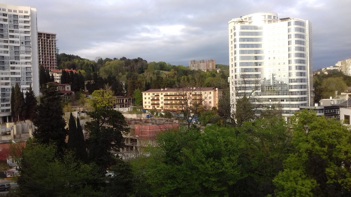 Вид на сочинский Дендрарий.