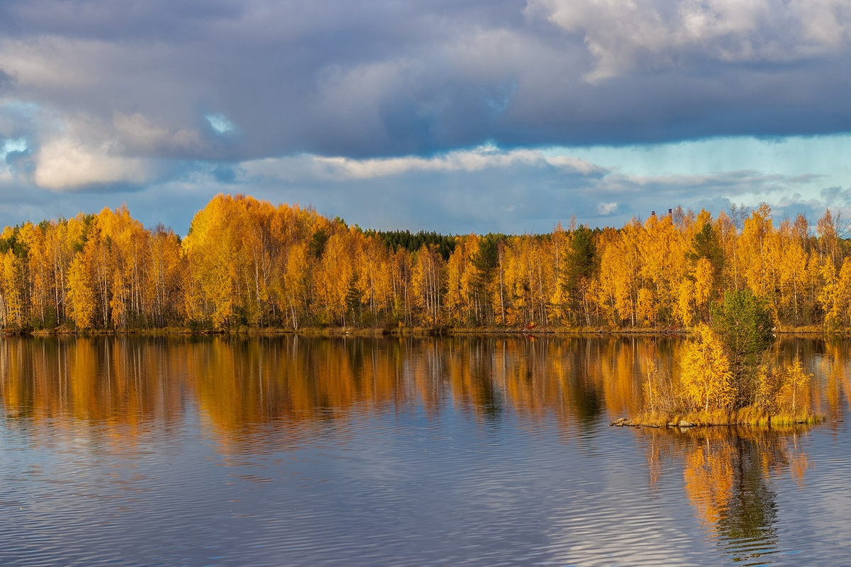 (Фото Виктор Ванский)