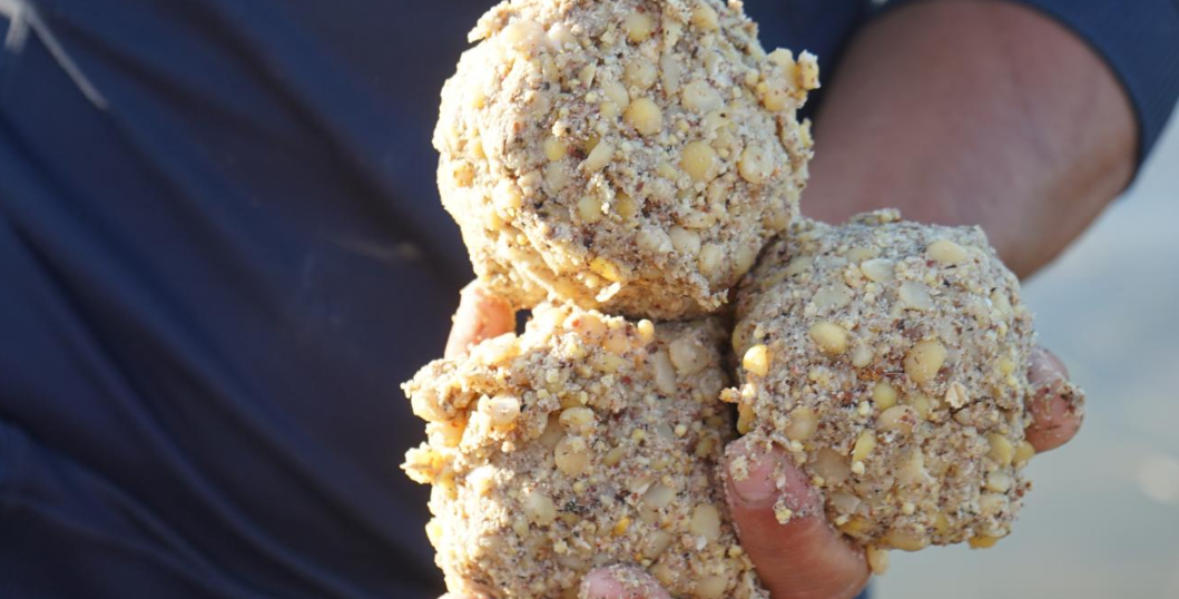 Донная прикормка на сазана. Фото из интернета