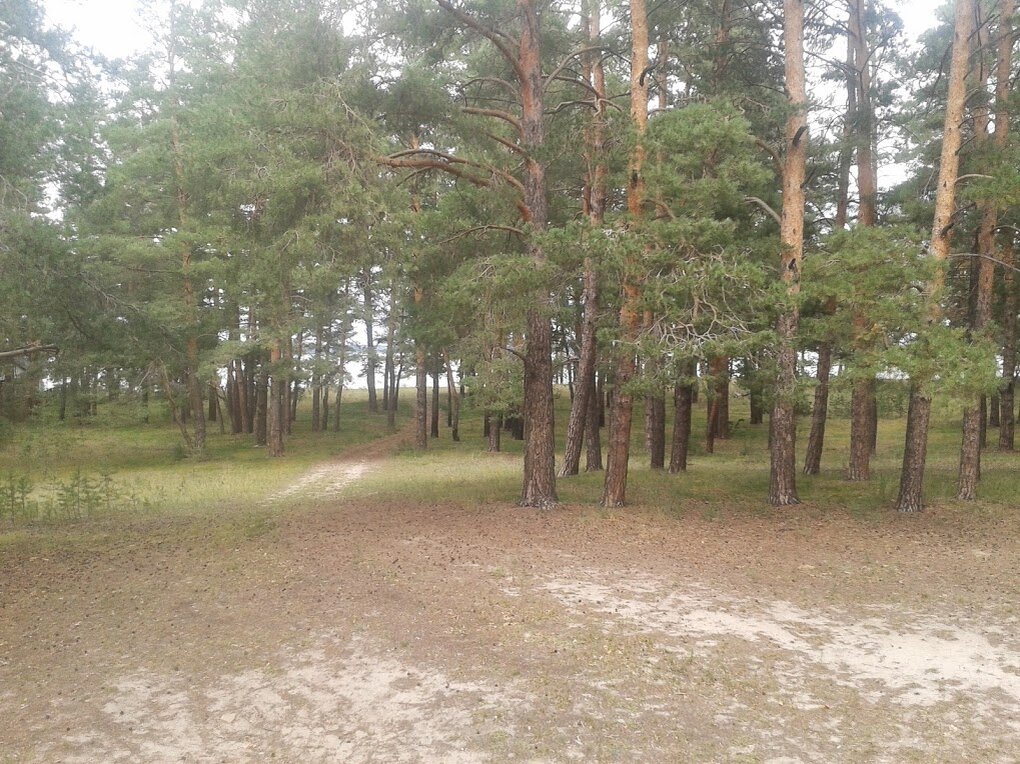 Это не сам лагерь, но территория за ним. Разве не рай?