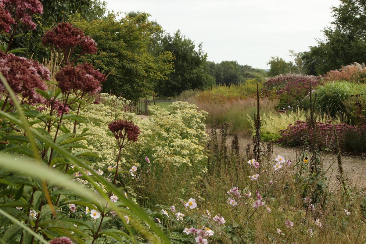 Пит Удольф "Миллениум"