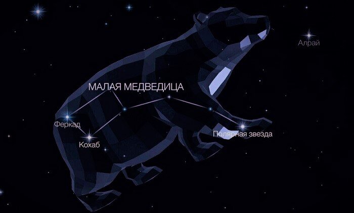 Созвездие Малая Медведица — знаменитое созвездие, наблюдаемое весь год ...