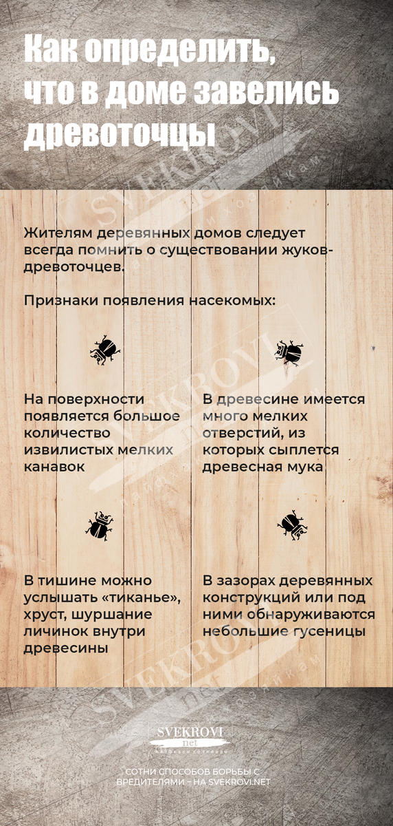 Признаки жизнедеятельности древоточца