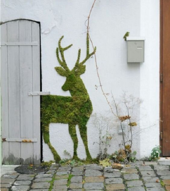 www.pinterest.ru