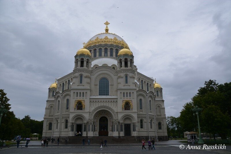 Вы точно человек?