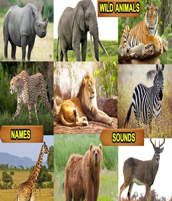 https://i.ytimg.com/vi/YsWD8pccfNc/maxresdefault.jpg