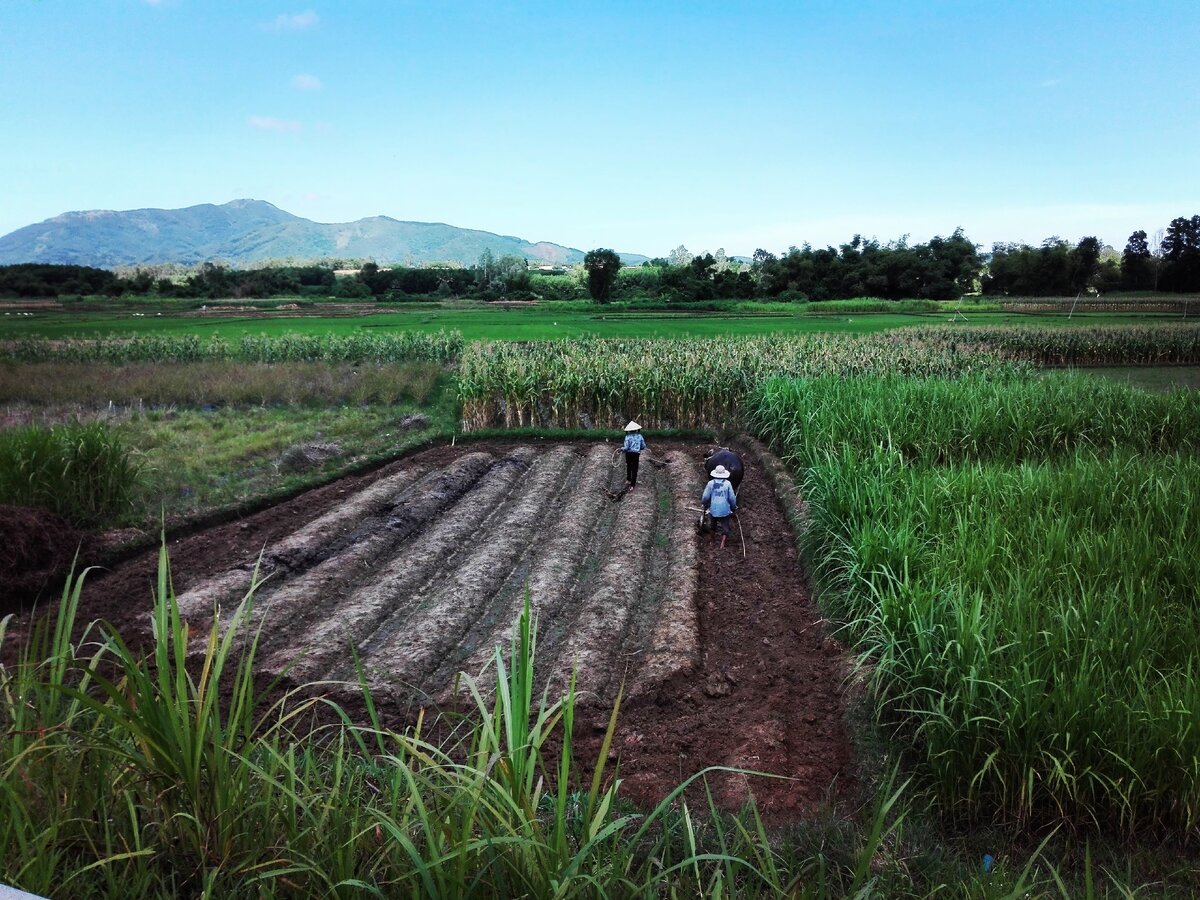 Работа на земле, спасение человечества от деградации
