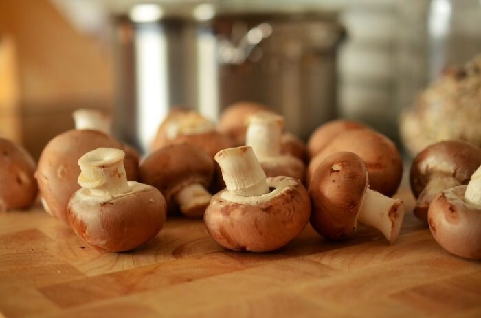 Доктор Мясников рассказал, почему грибы — вредная еда