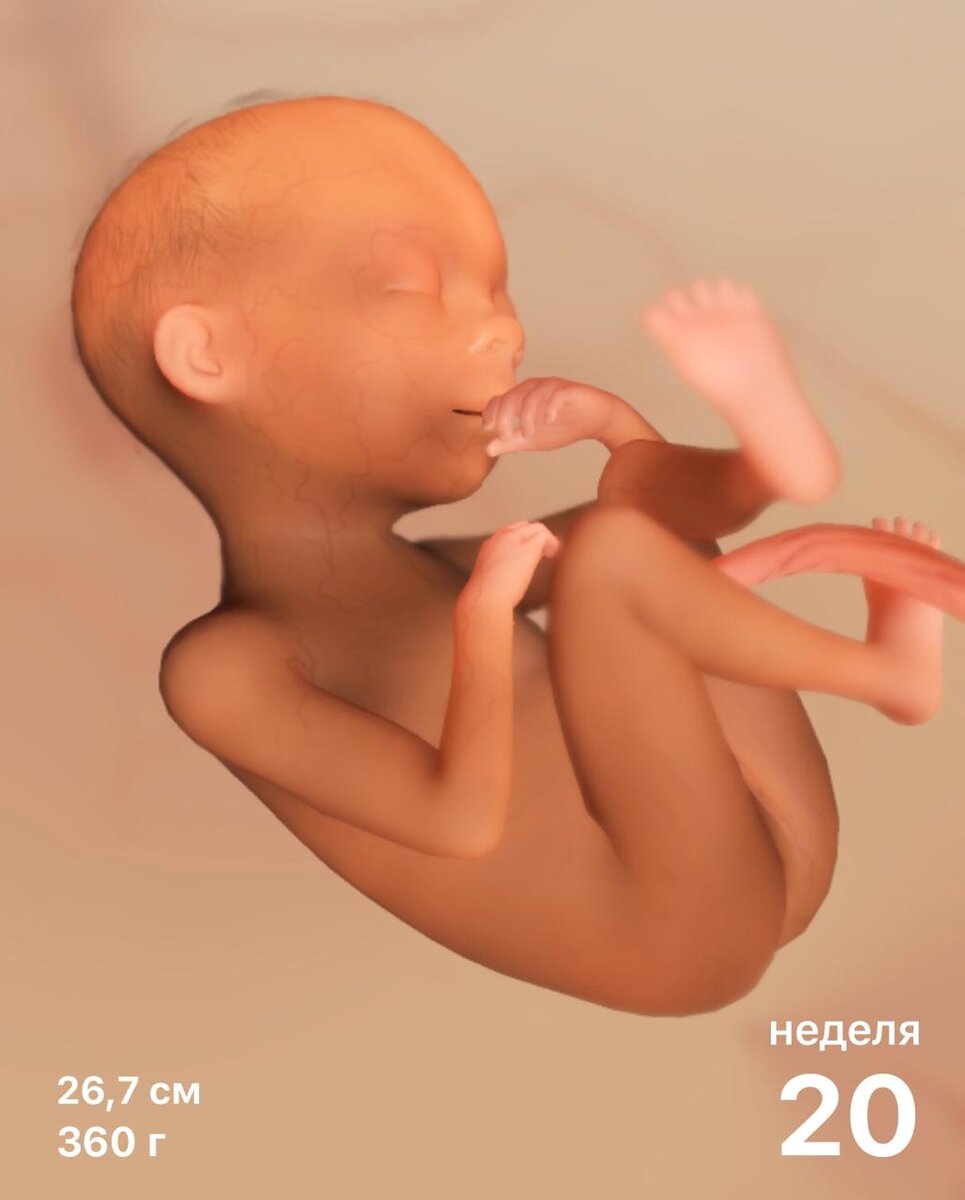 Приложение