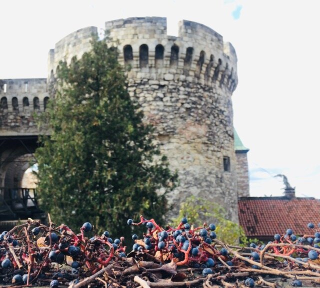 Калемегдан