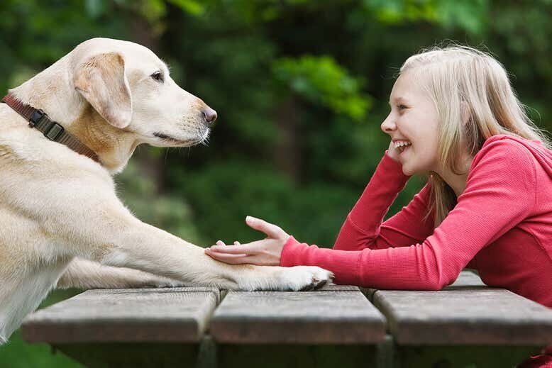 Listen up, pup Getty Images