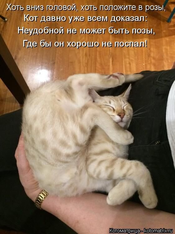 фото взято из открытого источника