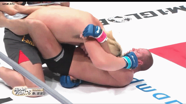 Источник Яндекс 