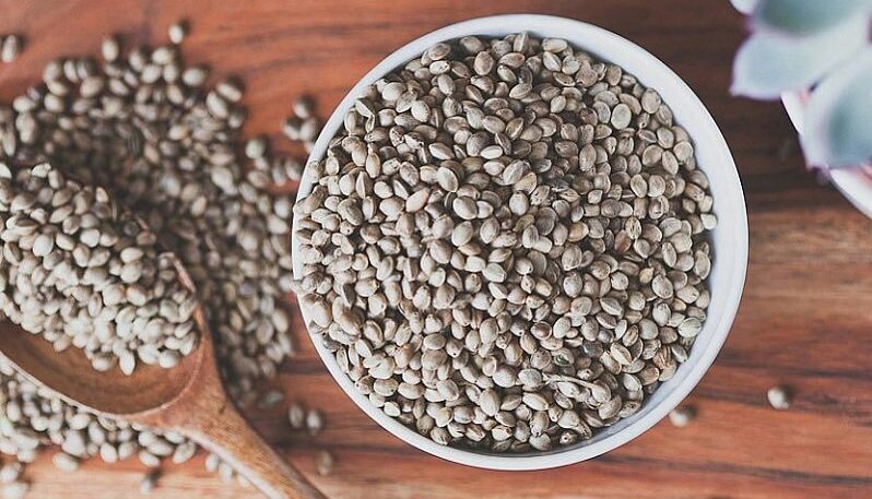 Семена технической конопли.