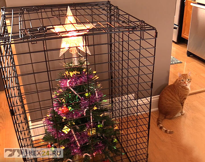 Как защитить новогоднюю елку от домашних питомцев? Практические советы