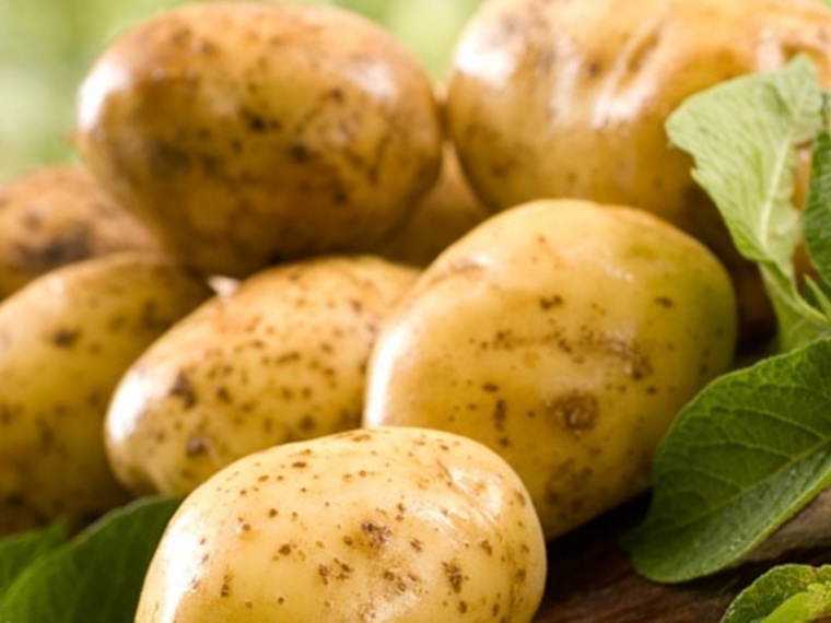 лечение ангины народными средствами