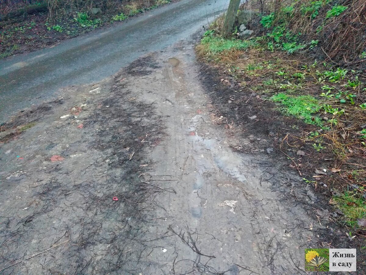 диафильм. куда делась весна. куда пропали зимы. тобысь вода. куда пропали зимы.