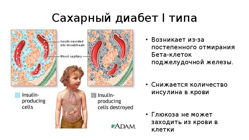 Фото-mypresentation.ru
