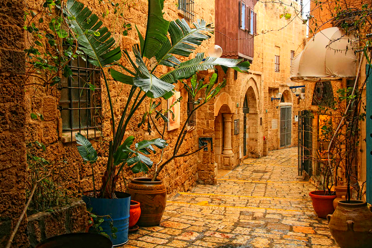 дворики ялты