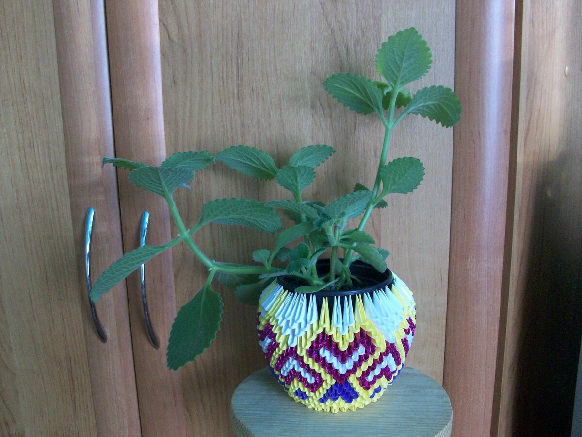 С цветущим растением кашпо смотрится еще эффектнее, но на момент фотографирования такового не оказалось. Так что в роли фото модели комнатная мята