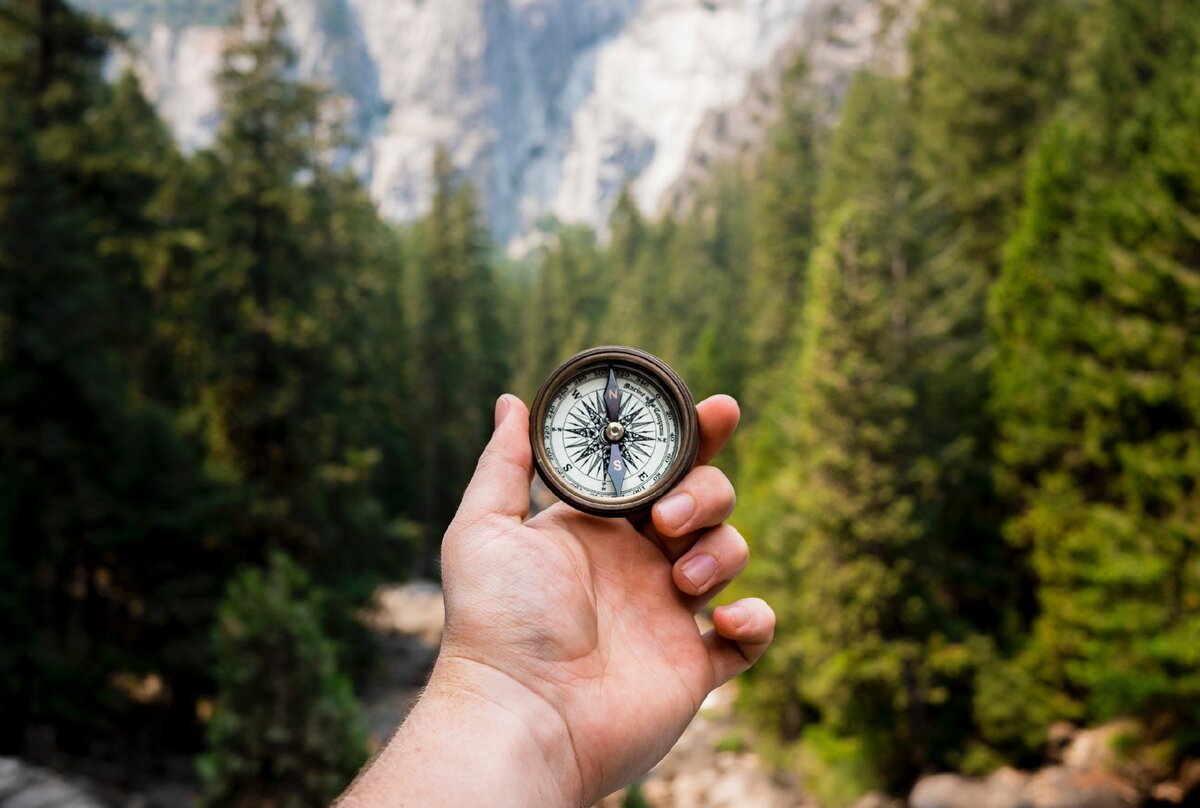 Фото Jamie Street из фотобанка Unsplash 