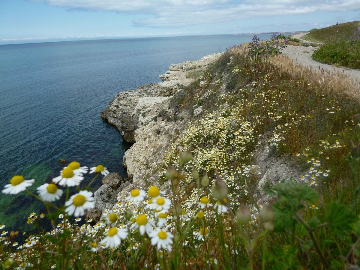 Крым в июне. Цветы июнь в Крыму. Природа июнь море. Крым в начале мая