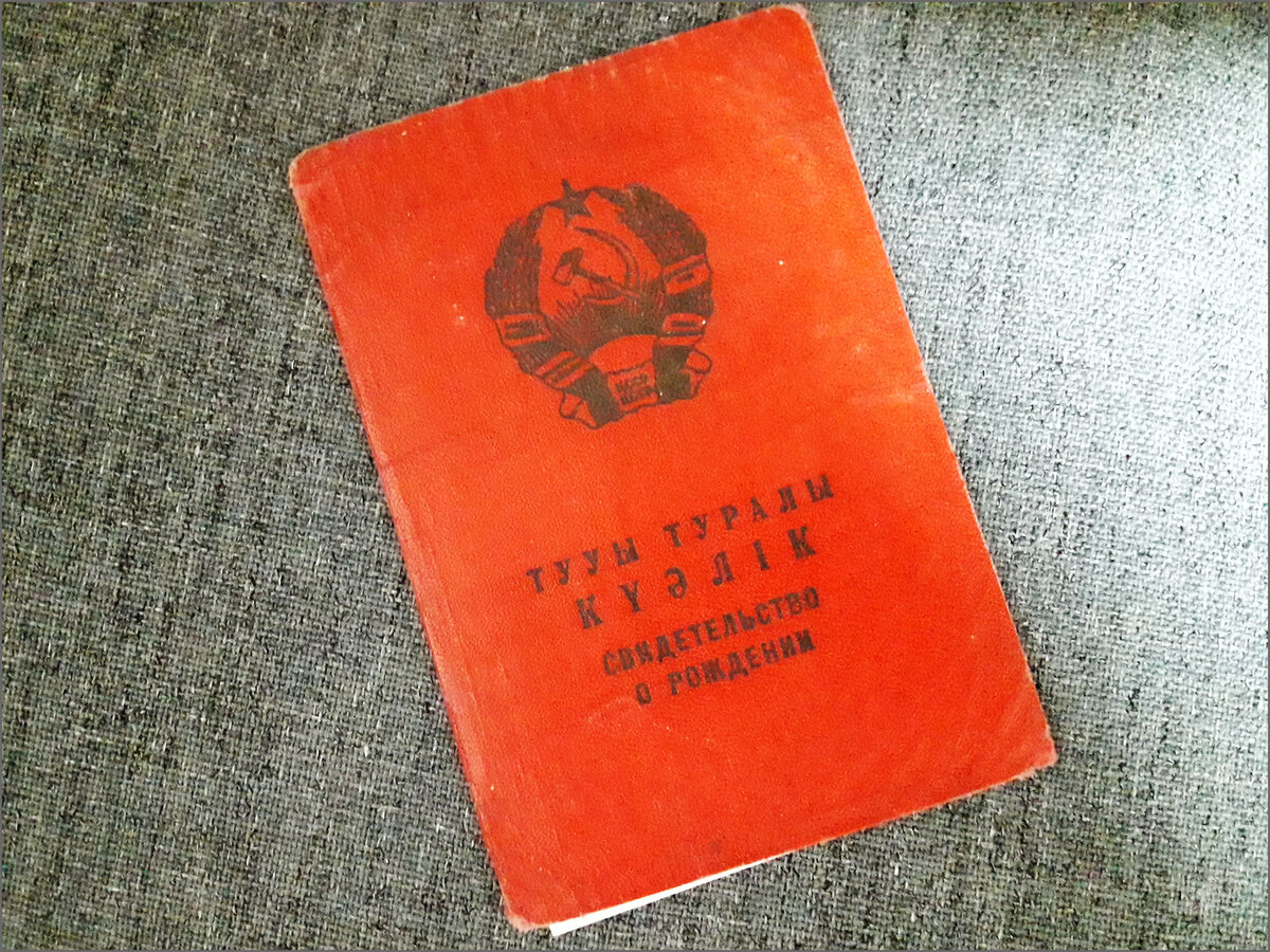 Небольшой казус с документами, зато в шкафах порядок. Лед тронулся (часть 1)