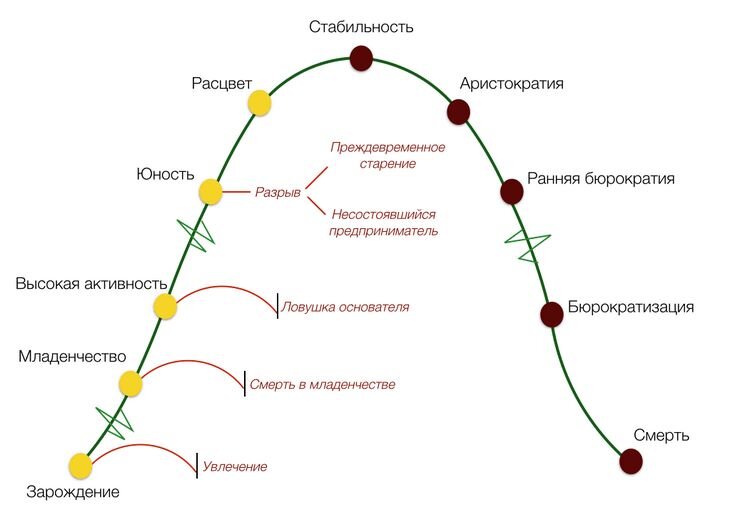 Модель Адизеса на графике