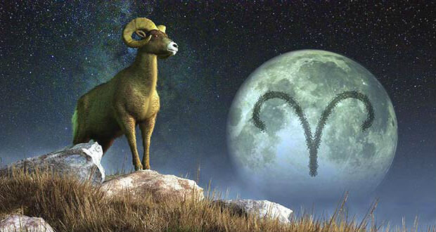 Изображение из открытых источников.