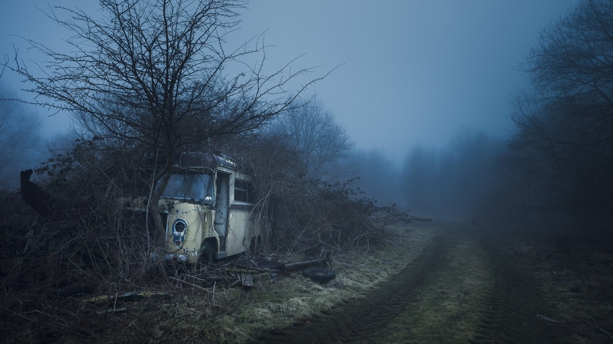 фото из открытого источника