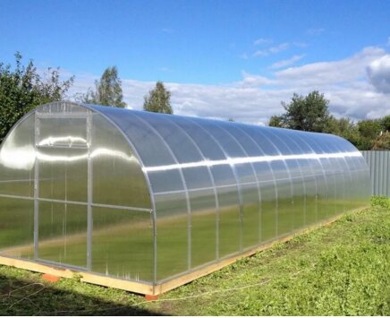 источник фото :яндекс картинки