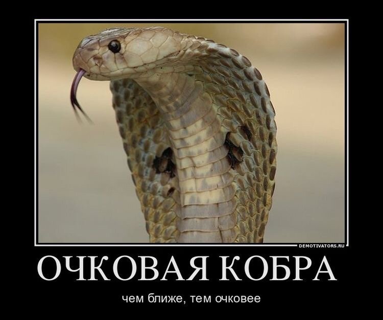 И не поспоришь:)