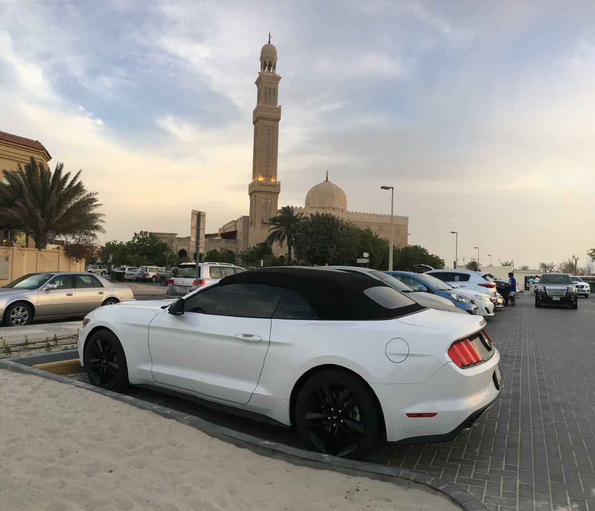 Типичная прокатная машина - порядка 2500 в сутки