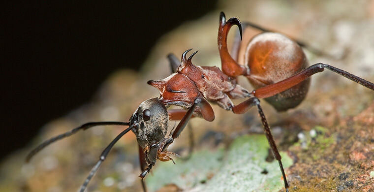                                                                                                                                       Было взято moya-planeta.ru