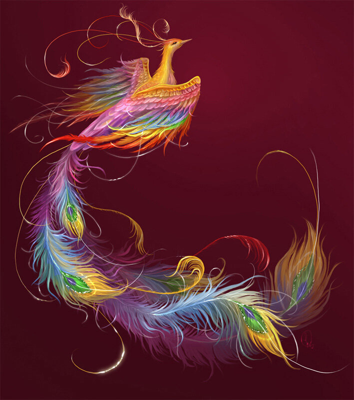 Изображение из сети