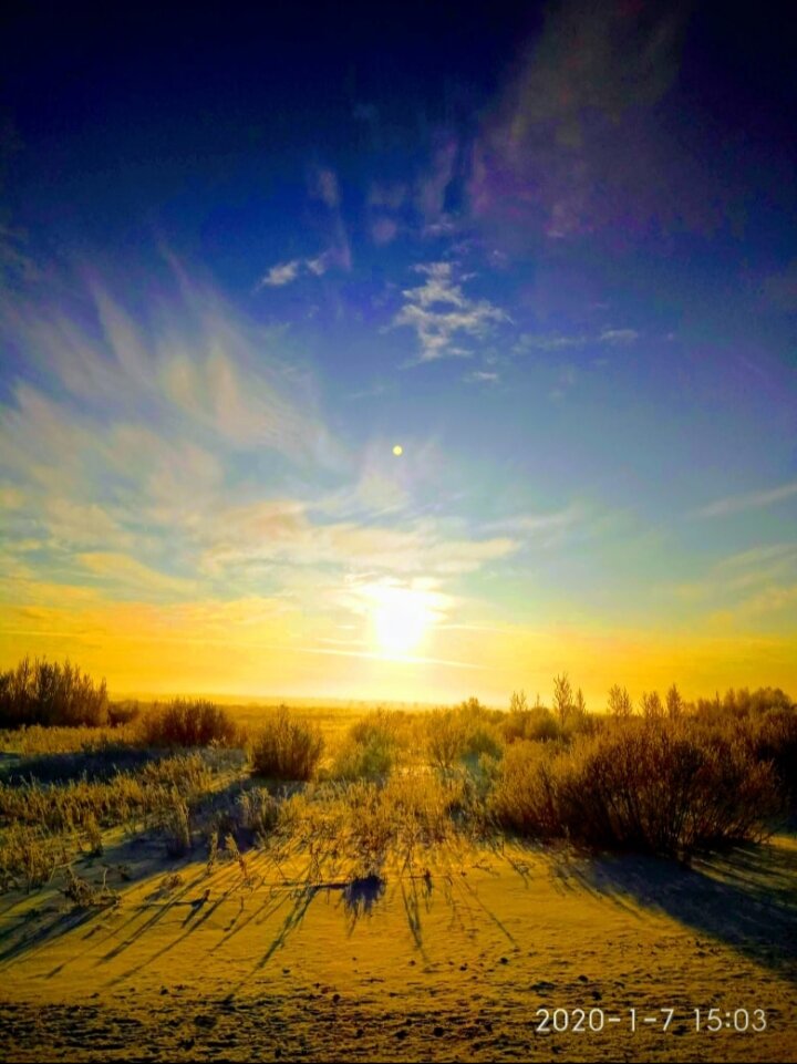 Тюменская область, зима