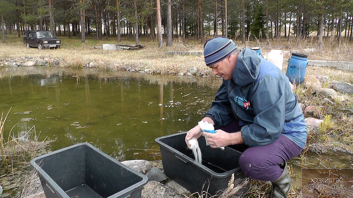 Правила поведения при купании в открытых водоемах | Городская больница имени М.И. Шевчук