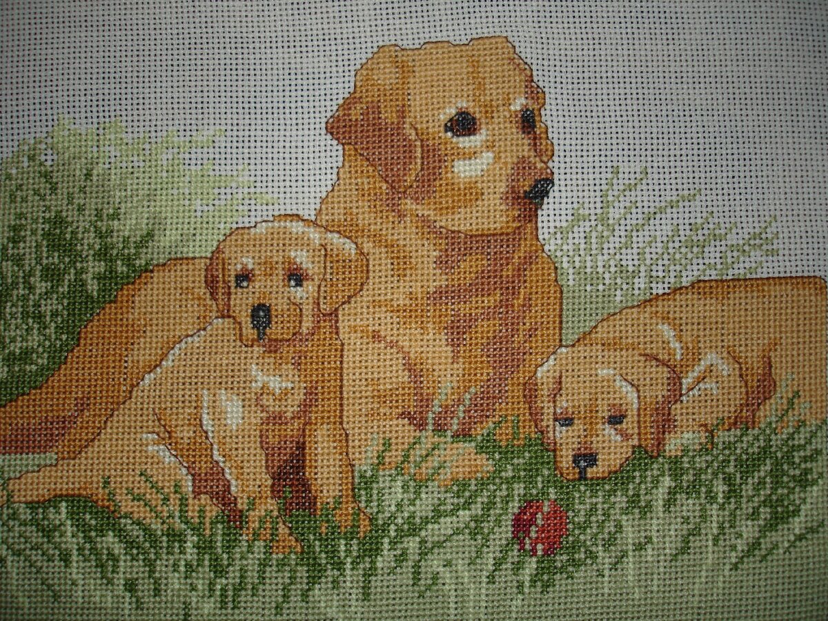 Фото автора. Вышивка "Семья лабрадоров".