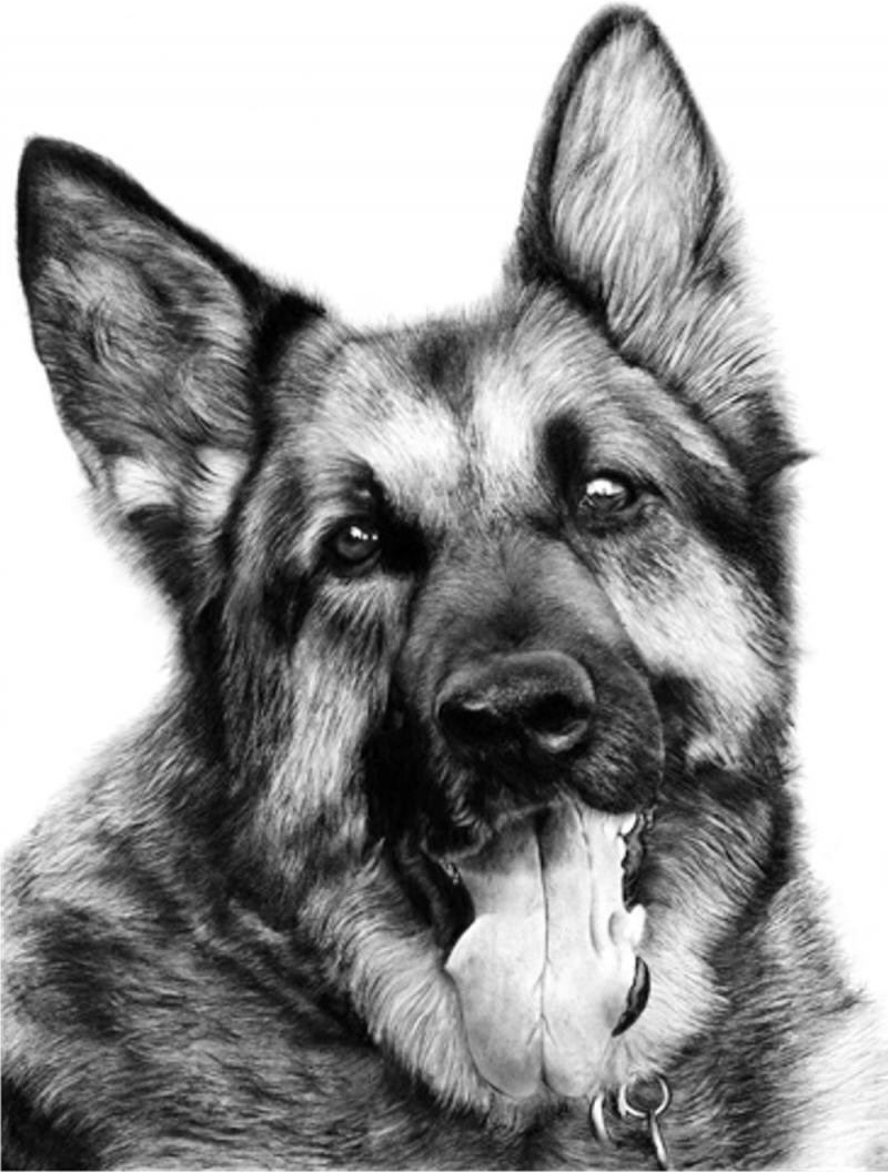 Фото с сайта https://avatars.mds.yandex.net/get-pdb/984927/ad735fe4-b4fc-4b48-b2b1-b801eb164f1f/s800