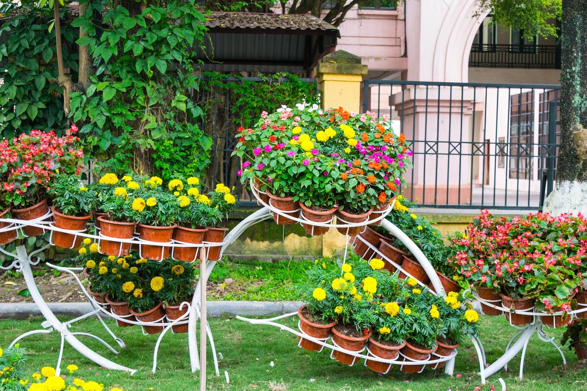 pixabay.com